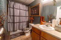 Basement Bathroom