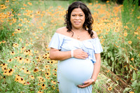 Maternity (2 of 2)