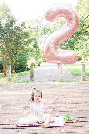Emery is Two (2 of 71)